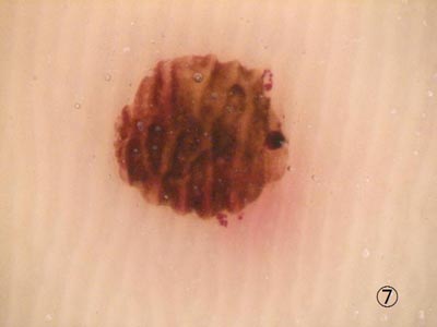 �p�w���o��