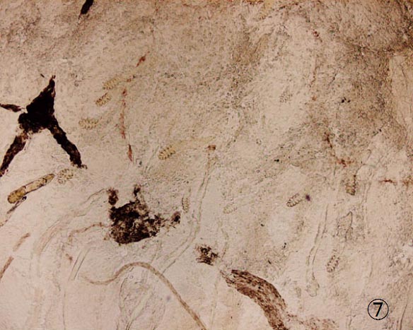 �j�L�r�_�j�Q