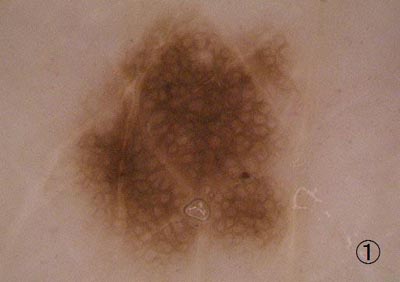 �F�f�����